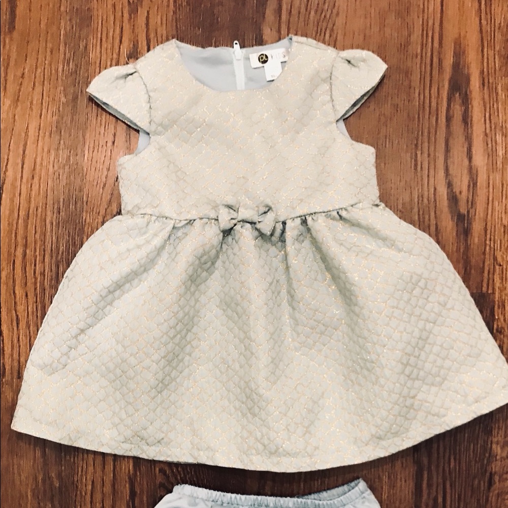 Girl’s Party Dress (Size 18 Months)